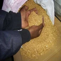 Gold Dust South Africa